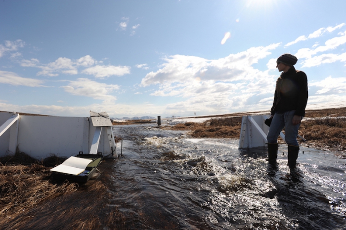 Rose Cory at Imnavait Creek (May 2011), a stream that drains into the Kuparuk River in Alaska during her 2011-2012 research of photo-bio apparent quantum yield. Photo courtesy of G.W. Kling.