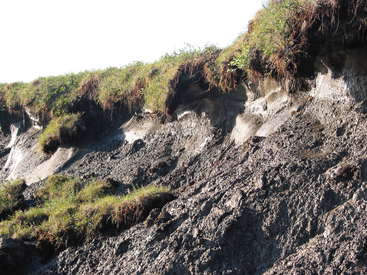 Climate Change and the Permafrost Carbon Feedback