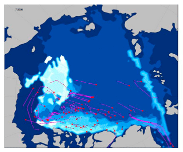 Figure 8. Age of sea ice from buoy drift model on July 2008.