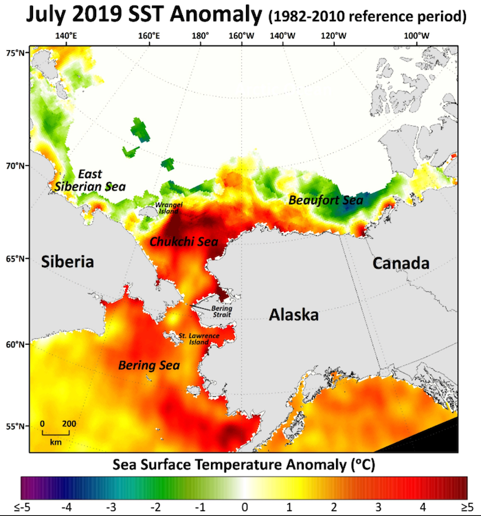 Figure 3b-1. Sea surface temperature (SST) anomaly for July 2019 in Alaskan and adjacent waters (K. Frey, Clark University), from NOAA’s OISST data set (Banzon et al., 2016). 