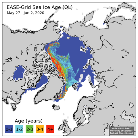 Figure 10. Sea-ice age calculated from data and model for early June. Image courtesy of NASA NSIDC DAAC, University of Colorado, Tschudi, Meier, and Stewart.
