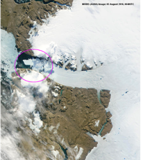 MODIS image of the Petermann Glacier