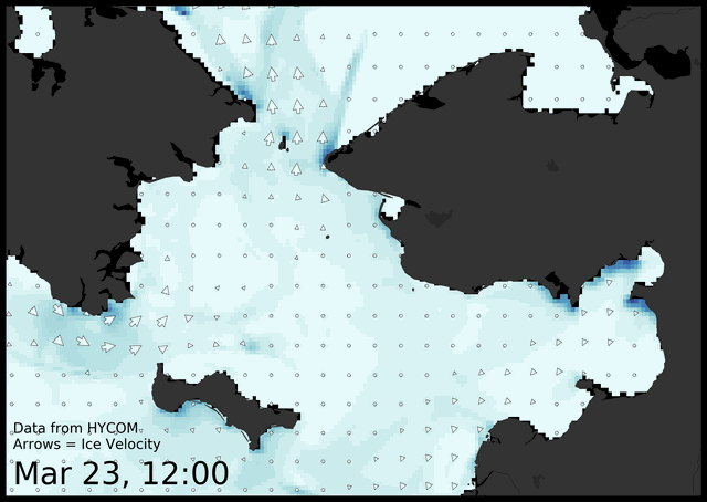 Animation of the predicted movement of ice predicted by the HYbrid Coordinate Ocean Model (HYCOM). Image produced by the Alaska Ocean Observing System / Axiom.