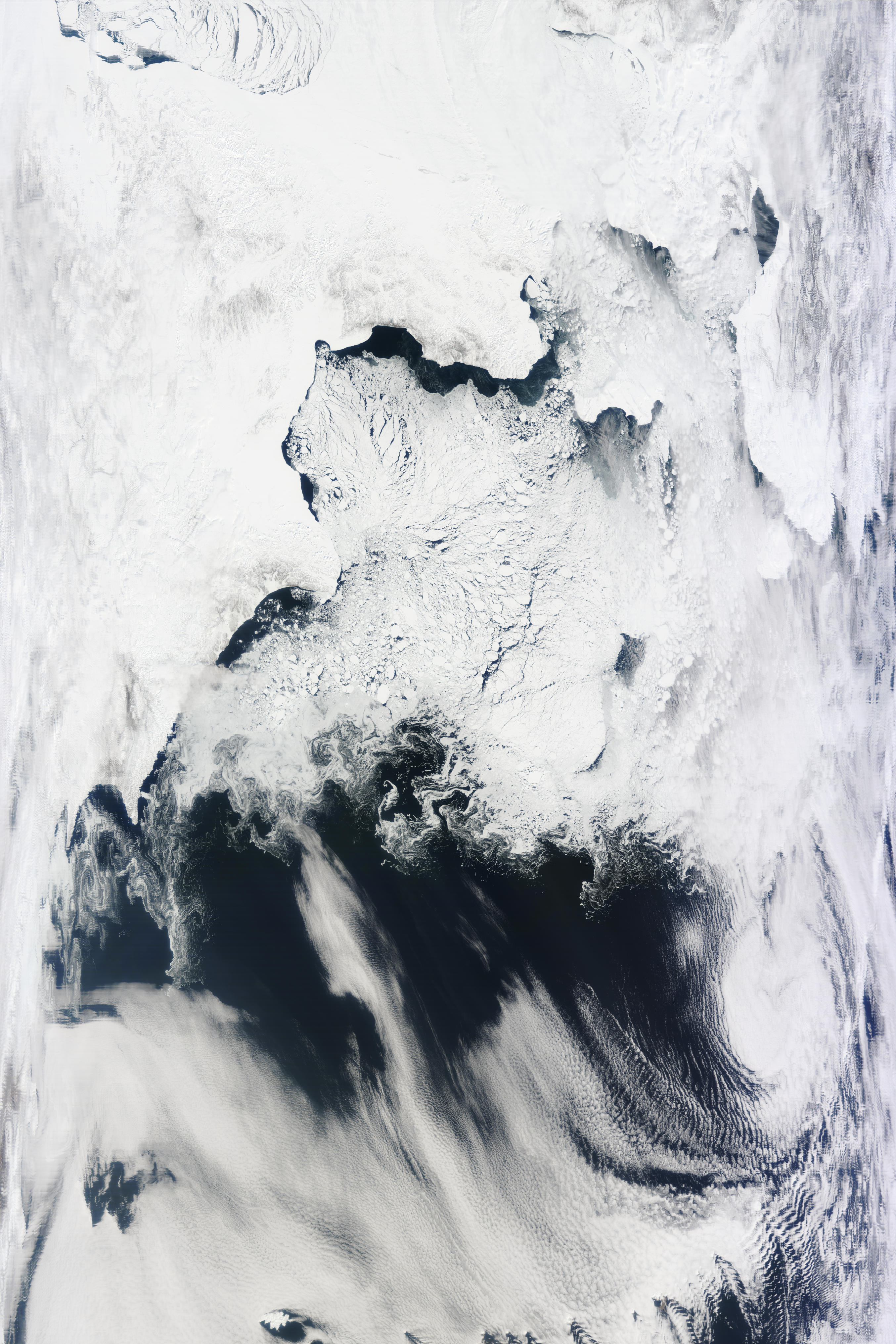 Bering Sea (Bering Straight and St. Lawrence Island in top-right quadrant)