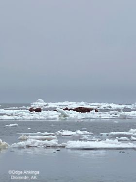 Sea ice and weather conditions in Diomede. Photos courtesy of Odge Ahkinga.