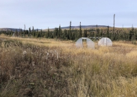 Figure 1. Image taken in September 2021 of the abandoned Polar Peonies, LLC, field. Photo courtesy of Melissa Ward Jones.