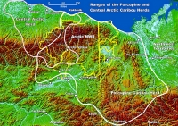 The ranges of the Porcupine and Central Arctic caribou herd are outlined in white on this map of northern Alaska and western Canada. Gwich'in villages are also identified.  Map courtesy of the U.S. Fish and Wildlife Service.
