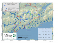 Figure 1. Map of streams near Iliamna with and without salmon. Image courtesy of The Nature Conservancy.