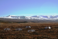 Figure 1: Open-top hexagon-shaped greenhouses have been used across the Arctic to create warmer micro-climate on plots of tundra without the use of electricity. The photo illustrates an experiment from Zackenberg, Greenland in fall colors. Image courtesy of Riikka Rinnan.