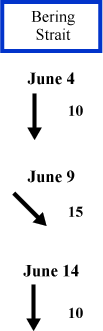 Bering Strait wind direction and speed Bering Strait wind direction and speed