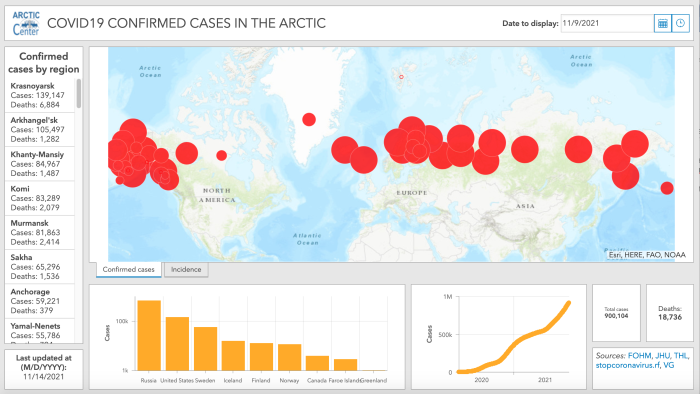 Figure 1. Screenshot of confirmed cases by region, as of 9 November 2021, on the Arctic COVID-19 Tracker website. Image courtesy of the ARCTIC Center.