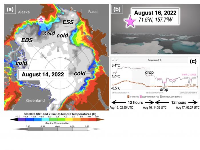 Figure 15. (a) Sea-ice concentration (gray scale, from NSIDC NRT passive microwave) and sea surface temperature for 3 July 2022 and 2013 (SST; color scale, from NOAA OISSTv2.1). Figure taken from the UpTempO buoy website. EBS = Eastern Beaufort Sea; ESS = East Siberian Sea. (b) Image taken by Saildrone 1046 at the location of the pink star in panel (a) as part of the MISST3 project (Vazquez-Cuervo et al. 2022). (c) SST time series (pink and gray) over 24 hours from the Saildrone near the same location. Als