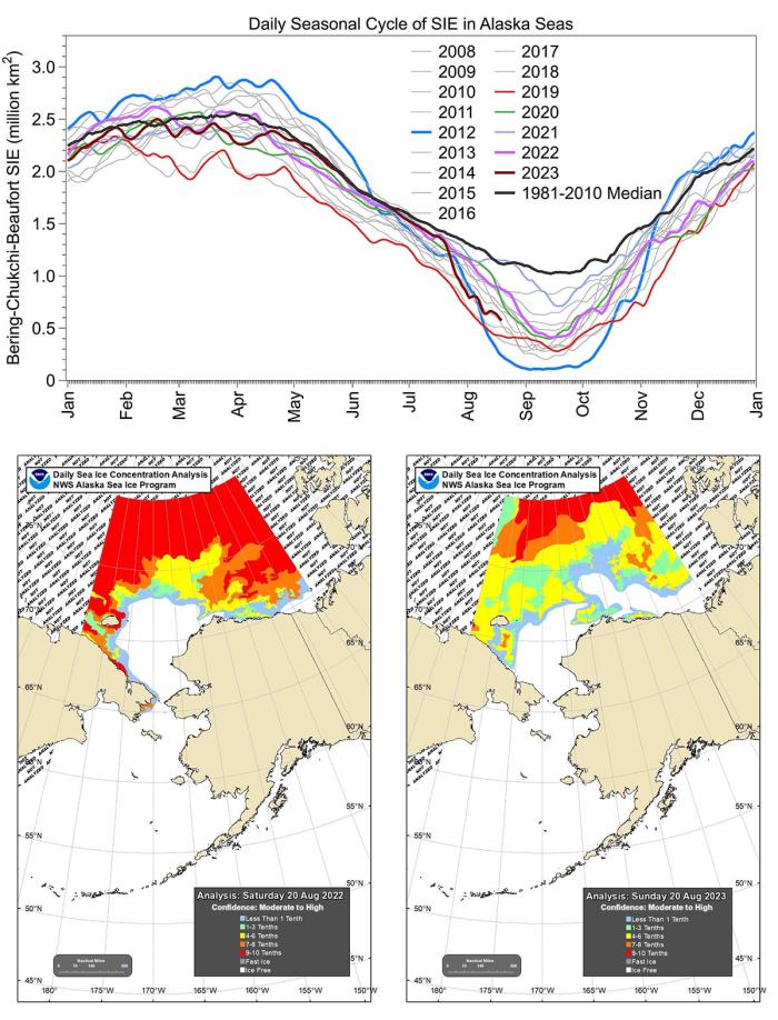Figure 15. Daily seasonal cycle of Bering-Chukchi-Beaufort Sea Ice Extent from 2008 to present and showing the 1981-2010 median climatology (top). August 20th sea-ice concentration in 2022 (bottom left) and 2023 (bottom right).