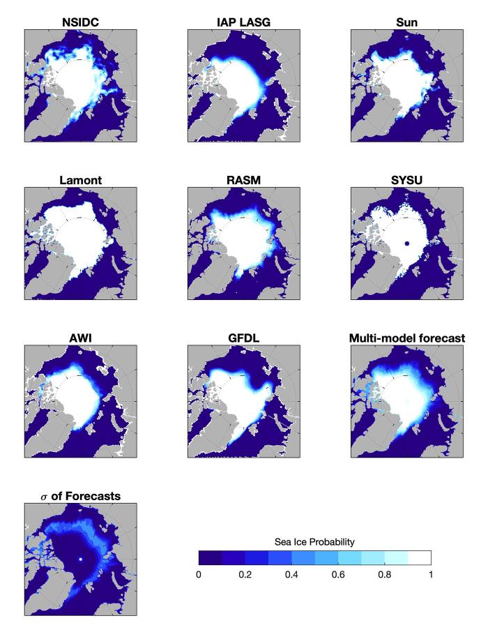 Figure 6. September Sea ice probability from 8 forecasts, the multi-model forecast, and standard deviation across the 8 forecasts.