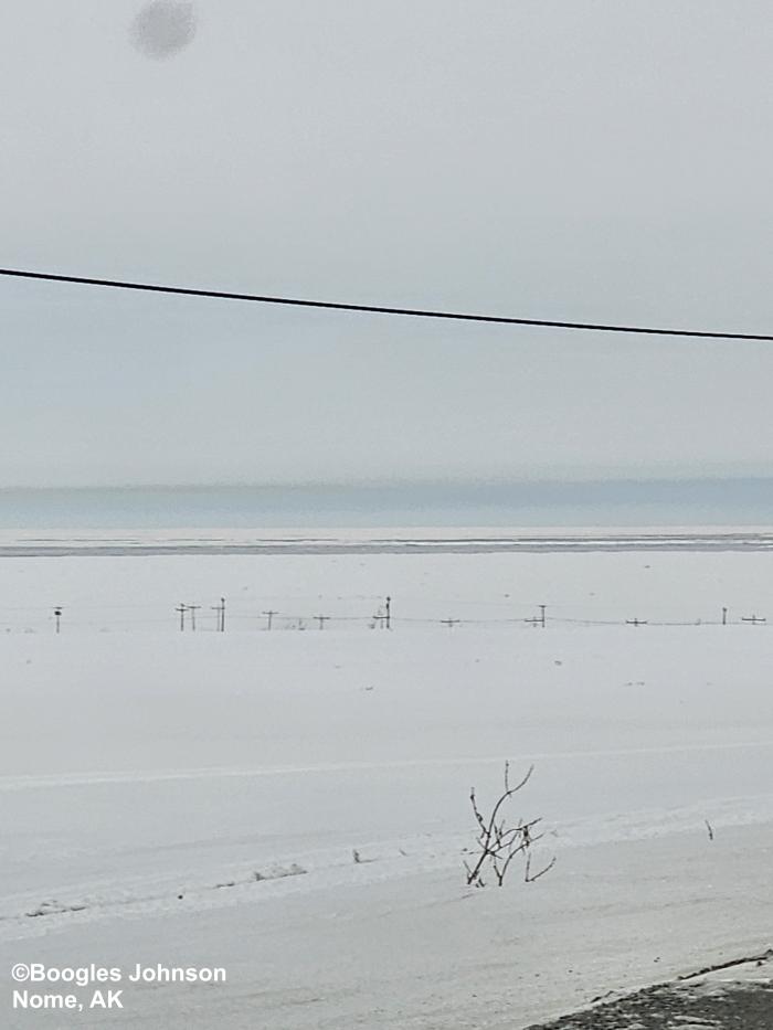 View from the first hill off the coast looking south at the Bering Sea - view 8. Photo courtesy of Boogles Johnson.