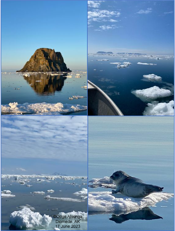Sea ice near Diomede islands on Friday, 16 January 2023. Photos courtesy of Odge Ahkinga.