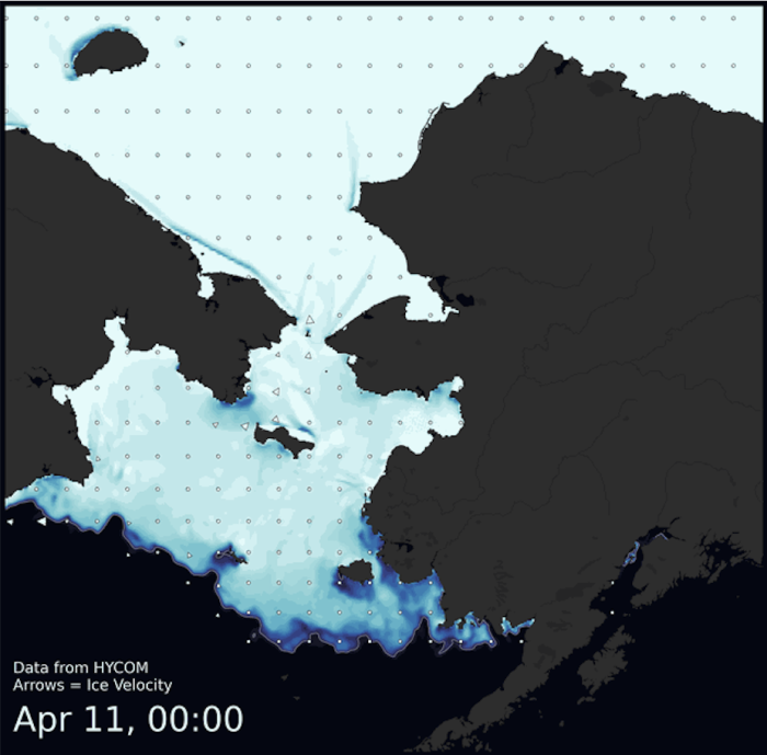 Visit the SIWO Facebook page @seaiceforwalrus to view this animation showing the predicted movement of ice predicted by the HYbrid Coordinate Ocean Model (HYCOM).