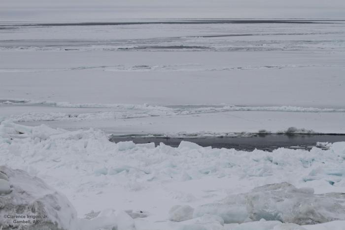 Weather and sea-ice conditions in Gambell - view 2. Photo courtesy of Clarence Irrigoo, Jr.