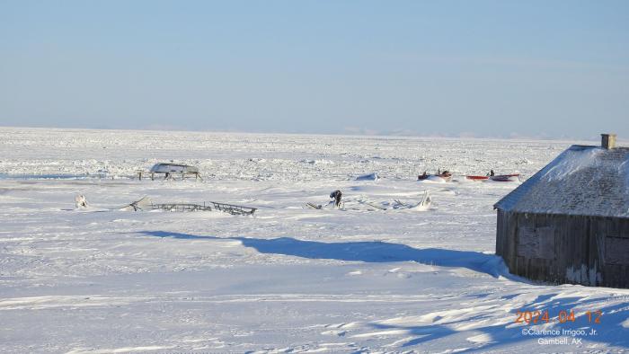 Weather and sea-ice conditions in Gambell - view 5. Photo courtesy of Clarence Irrigoo, Jr.
