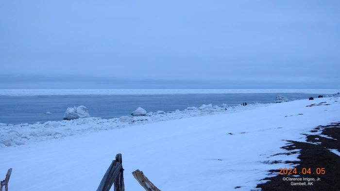Weather and sea ice conditions in Gambell - view 1. Photo courtesy of Clarence Irrigoo, Jr.
