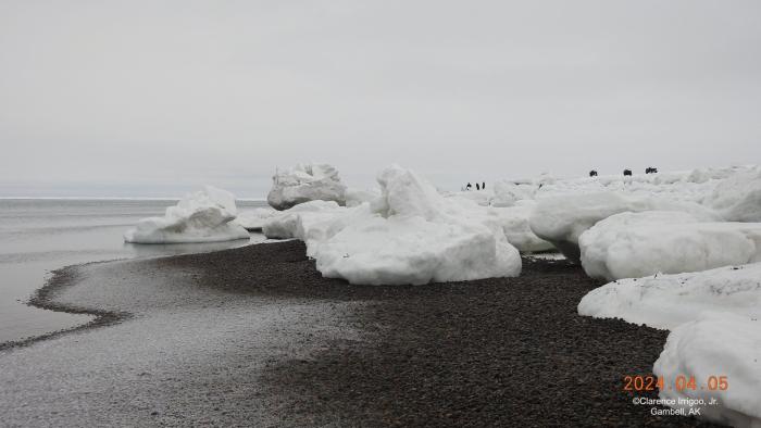 Weather and sea ice conditions in Gambell - view 3. Photo courtesy of Clarence Irrigoo, Jr.