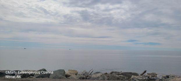 Weather and sea ice conditions in Nome. Photo courtesy of Marty Eeleengayouq Ozenna.
