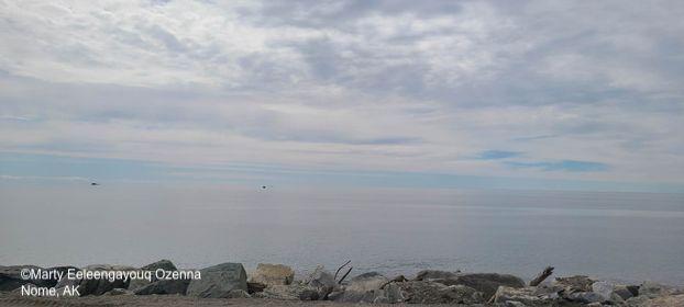 Weather and sea ice conditions in Nome. Photo courtesy of Marty Eeleengayouq Ozenna.