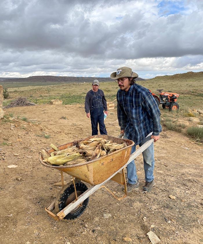 Figure 1. Nels Christensen, a farmer working with the Tlaa Deneldel Community Group in Nenana, Alaska, helps move corn to the roasting pit on Michael Kotutwa Johnson's farm during the IFKN meeting at Hopi, September 2022. Photo courtesy of Noor Johnson.