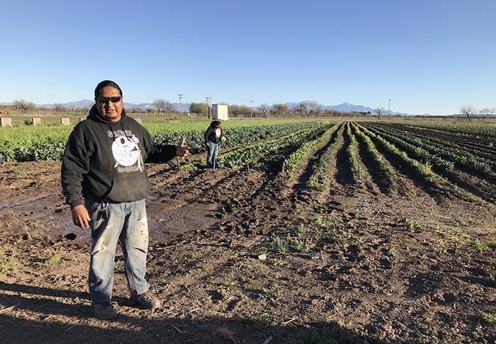 Figure 2. A farmer with the San Xavier cooperative on Tohono O'odham lands in Tucson, Arizona, gives IFKN a tour of the farm in March 2019. Photo courtesy of Noor Johnson.