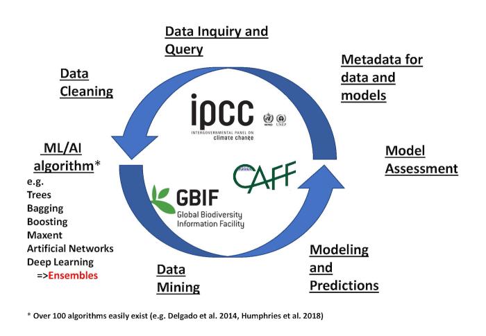 Figure 1. A commonly found workflow and cycle of inquiry used for inference in machine learning and artificial intelligence projects (e.g., Bluhm et al. 2010; Gulyaeva 2020; Huettmann 2020). Figure by F. Huettmann.