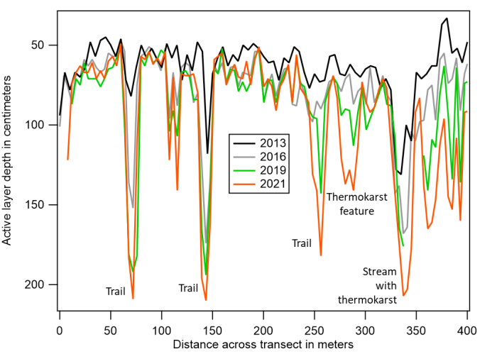 Figure 1. Active layer depths along a transect at the Permafrost Tunnel site showing an increase in depths from 2013 to 2021. Of particular note is the dramatic thaw at trail crossings, at a thermokarst feature, and along a stream.