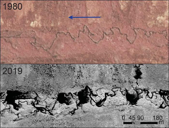 Figure 3. An aerial photograph from 1980 and a satellite image from 2019 on the Seward Peninsula in western Alaska show the dramatic changes wrought by beaver colonization on free-flowing streams in the Arctic. Image courtesy of Ken Tape.