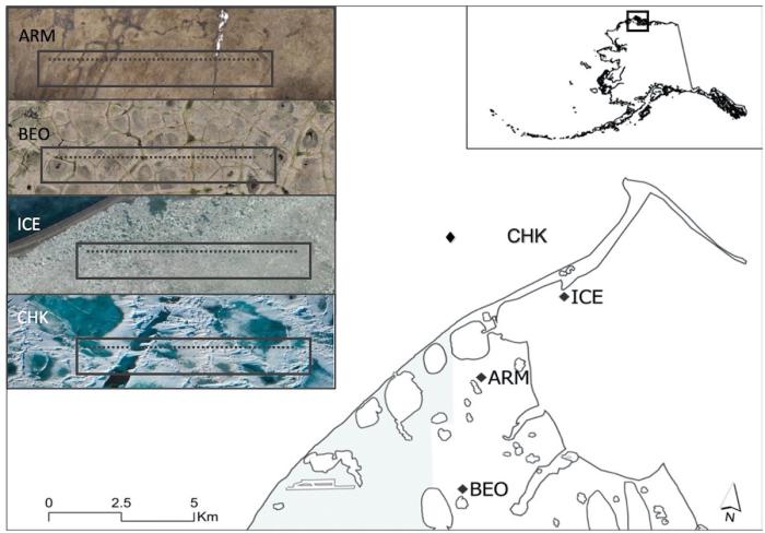 Figure 1. Map of SALVO&#39;s four sample sites near Utqiaġvik, Alaska. The boxes upper left show the location of the roughly 200x20 meter swaths we monitored taking aerial photographs and terrestrial lidar scanning measurements, the dotted lines indicate the location of the sampling line for in-situ measurements. The two tundra sites included gently sloping terrain (ARM) and flat terrain mostly comprising low-centered polygons (BEO). The two sea-ice sites included smooth sea ice of Elson Lagoon (ICE) and the ro