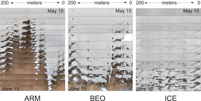 Figure 4. UAV orthomosaic sequences at the ARM, BEO, and ICE sites between 15 May (top line of each sequence) and 15 June 2019 (bottom line of each sequence). These sequences show how the surface albedo changed from high values (85%) due to the bright white snow to much lower values (20%) as darker, brown tundra or sea ice and ponds on sea ice were exposed. The CHK site was not sampled in 2019. Figure courtesy of Pinzner et al. (2020).