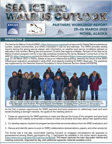 SIWO Partners Workshop Report Cover SIWO Partners Workshop Report Cover