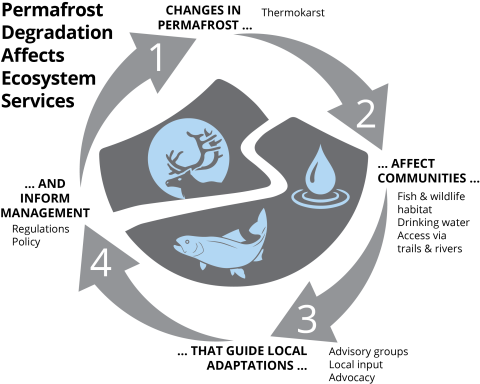 How Is Permafrost Degradation Affecting Ecosystem Services? How Is Permafrost Degradation Affecting Ecosystem Services?