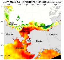 2019 Sea Ice Outlook Post-Season Report