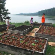 School children participate in the planting of a small-scale community-based garden project of the Ka'a'gee Tu First Nation in Kakisa, NWT. Photo courtesy of Mindy Jewell Price.