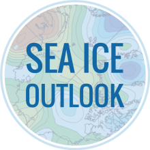 Sea Ice Outook