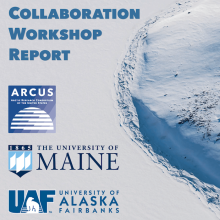 Bridging Arctic Gateways Report Bridging Arctic Gateways Report