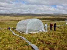 Completed greenhouse at Toolik Field Station, Alaska. Photo by David Walker. Completed greenhouse at Toolik Field Station, Alaska. Photo by David Walker.
