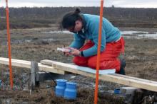 Kim Miller takes gas samples to determine the carbon flux (particularly methane) in the wetland soils. Petsikko wetland, south of Kevo Research Station, Finland. Photo by Carol Scott.