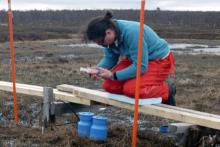 Kim Miller takes gas samples to determine the carbon flux (particularly methane) in the wetland soils. Petsikko wetland, south of Kevo Research Station, Finland. Photo by Carol Scott. Kim Miller takes gas samples to determine the carbon flux (particularly methane) in the wetland soils. Petsikko wetland, south of Kevo Research Station, Finland. Photo by Carol Scott.