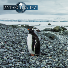 Antarctica Day with APECS