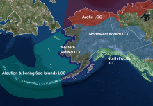 Landscape Conservation Cooperatives in Alaska and Northwest Canada