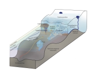 Characterization of Heterogeneity in Marine-Terminating Glaciers in Greenland