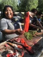 Photo 1. Amy Juan learning to fillet salmon at Nay'dini'aa Na'Kayax' in June 2018. Photo courtesy of Lydia Jennings.