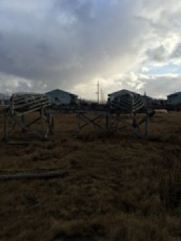 Views of Savoonga