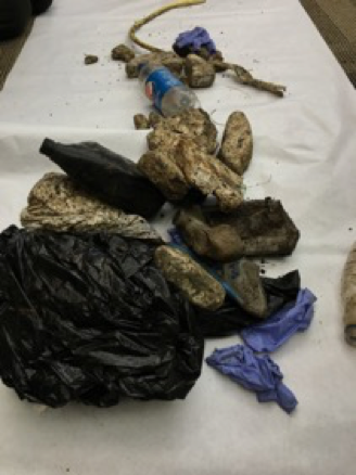 Beach cleanups were followed by debris sorting.