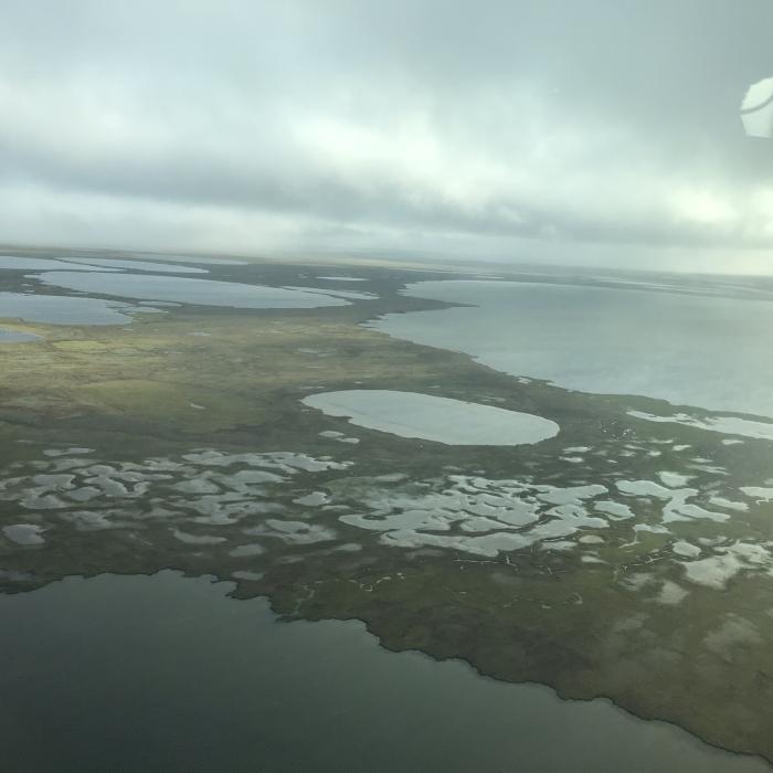 Lakes and wetlands